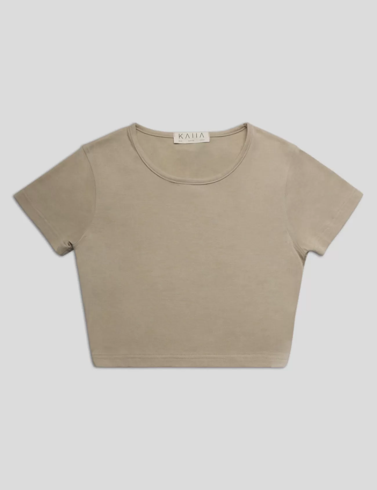 Public Desire Fitted T-Shirt Stone Hot
